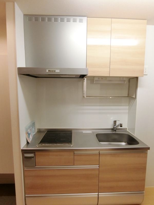 ��ʌ��������܎s�����擌��{�S���ڂ̃A�p�[�g�̃L�b�`��