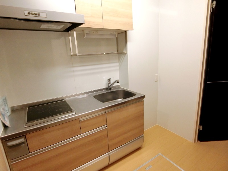 ��ʌ��������܎s�����擌��{�S���ڂ̃A�p�[�g�̃L�b�`��