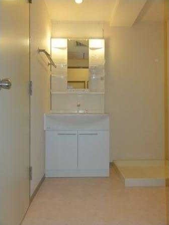 ��ʌ��z�J�s�z���J�T���ڂ̃}���V�����̐��ʏ�