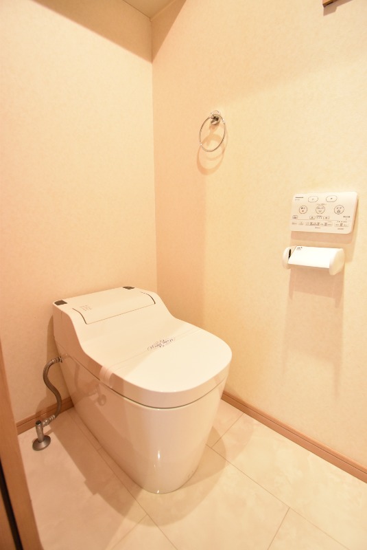 ��ʌ��������܎s�΋�厚��q�̈�ˌ��Ẵg�C��