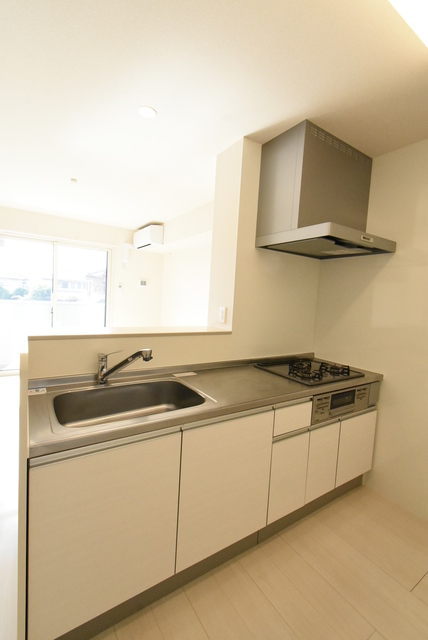 ��ʌ��������܎s������厚�ۃ���̃A�p�[�g�̃L�b�`��