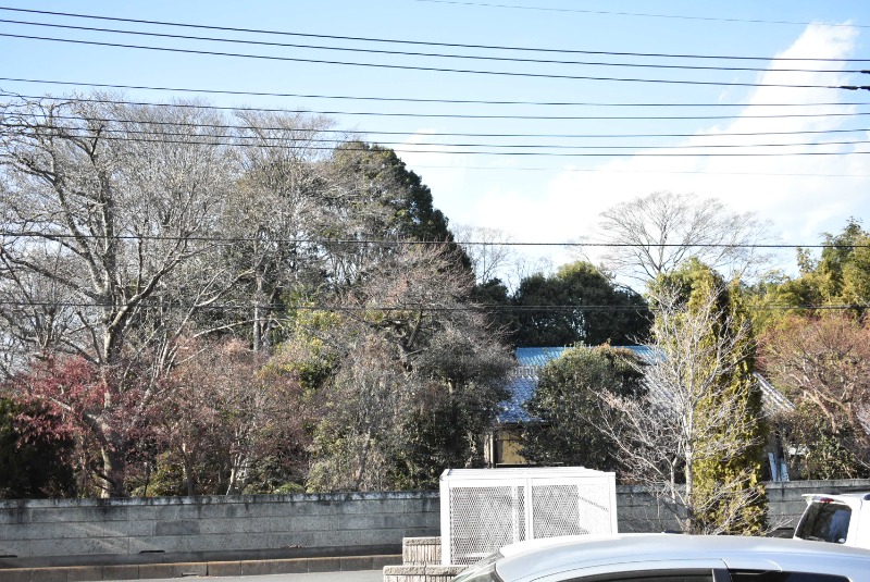 ��ʌ��������܎s�k��{�����̃A�p�[�g�̂��̑�