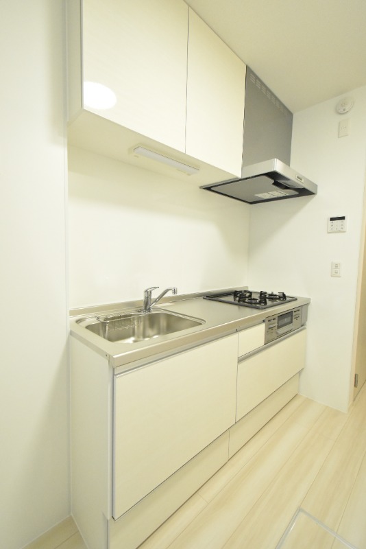 ��ʌ��������܎s�����擌��{�S���ڂ̃A�p�[�g�̃L�b�`��