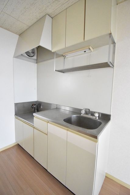 ��ʌ��������܎s�Y�a��{���S���ڂ̃A�p�[�g�̃L�b�`��