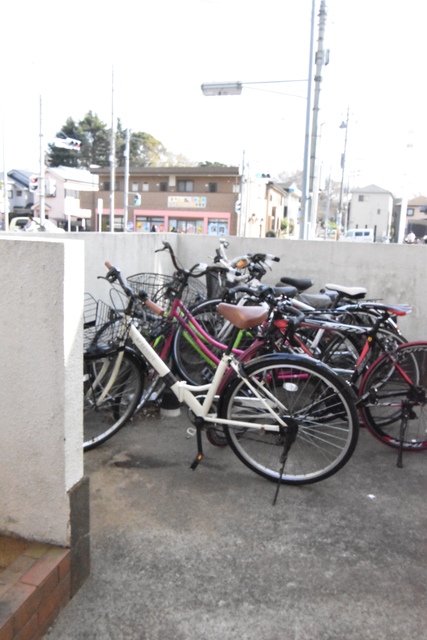 ��ʌ��������܎s�Y�a��{���S���ڂ̃A�p�[�g�̂��̑�