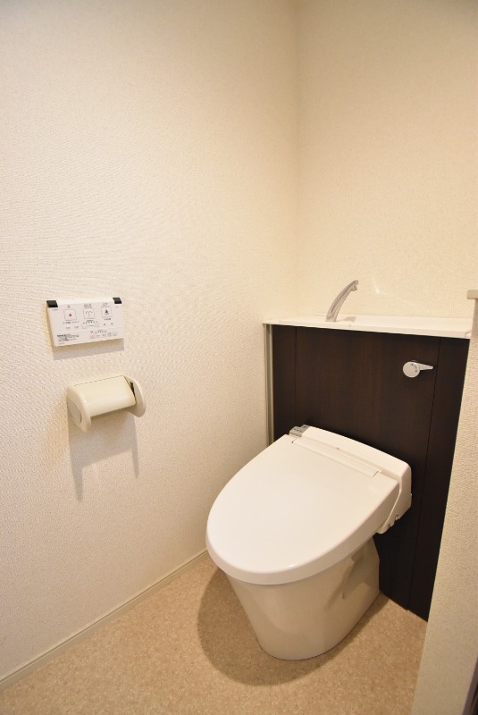 ��ʌ��������܎s�΋�厚����c�̃}���V�����̃g�C��