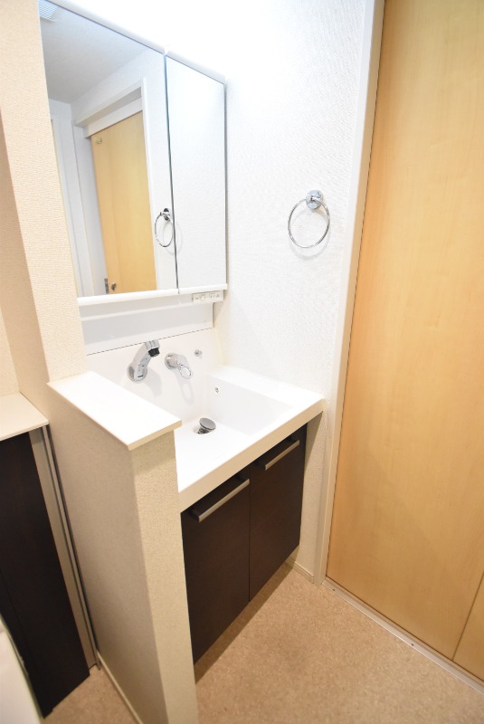 ��ʌ��������܎s�΋�厚����c�̃}���V�����̐��ʏ�