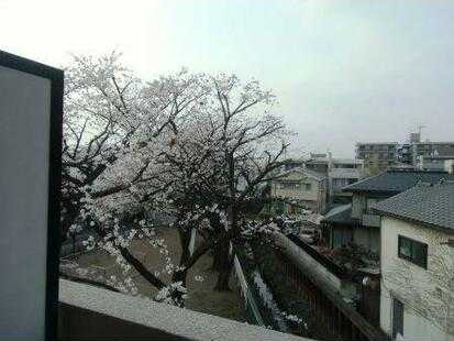 ��ʌ��������܎s��{����ؒ��S���ڂ̃}���V�����̂��̑�