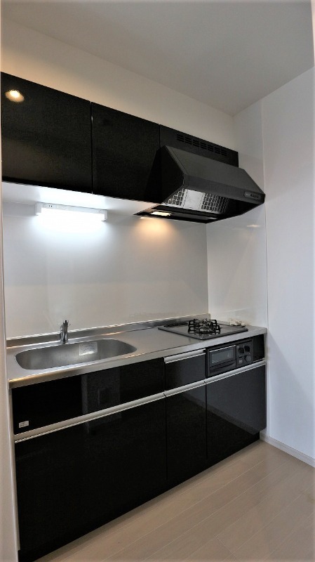 ��ʌ��z�J�s�z���J�{���̃A�p�[�g�̃L�b�`��