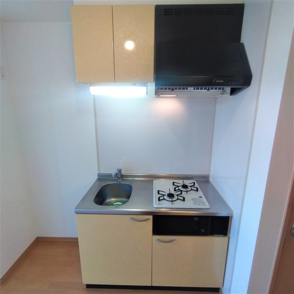 ��ʌ�����s�씵���J�P���ڂ̃A�p�[�g�̃L�b�`��