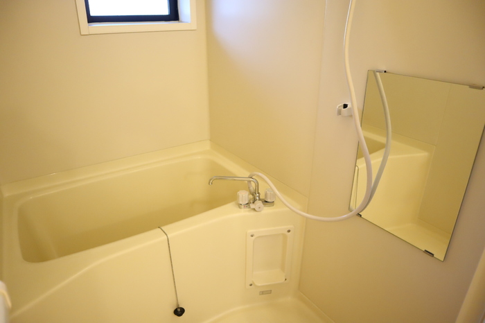 ��ʌ��k�����S�ɓޒ��厚�H�т̃A�p�[�g�̃o�X