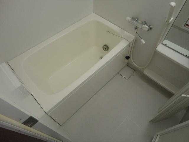 ��ʌ��������܎s��{�捂�@���Q���ڂ̃}���V�����̃o�X