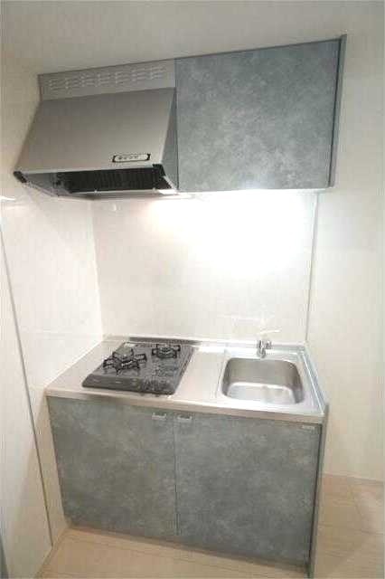 ��ʌ��������܎s�k����i���Q���ڂ̃A�p�[�g�̃L�b�`��