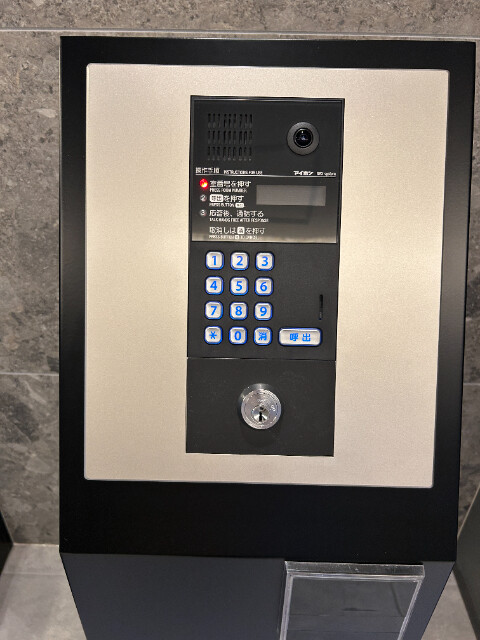 ��ʌ��������܎s���搼��{�P���ڂ̃}���V�����̂��̑�