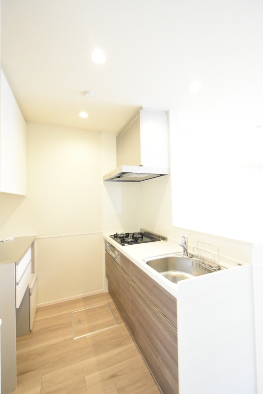 ��ʌ��������܎s�k��y�C���Q���ڂ̃}���V�����̃L�b�`��