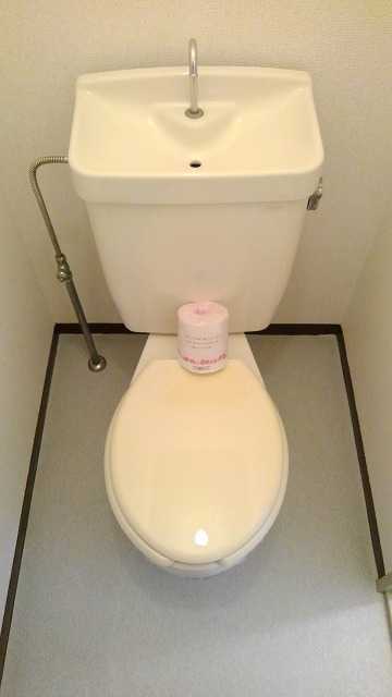 ��ʌ��@�c�s���V�h�Q���ڂ̃}���V�����̃g�C��