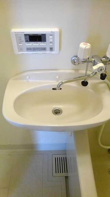 ��ʌ��@�c�s���V�h�Q���ڂ̃}���V�����̐��ʏ�