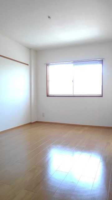 ��ʌ��@�c�s���V�h�Q���ڂ̃}���V�����̂��̑�