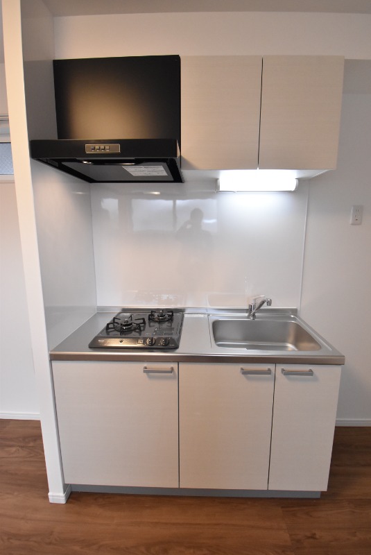 ��ʌ��z�J�s�厚�쉬���̃A�p�[�g�̃L�b�`��