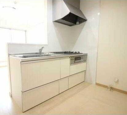 ��ʌ��������܎s����厚�w��̃A�p�[�g�̃L�b�`��