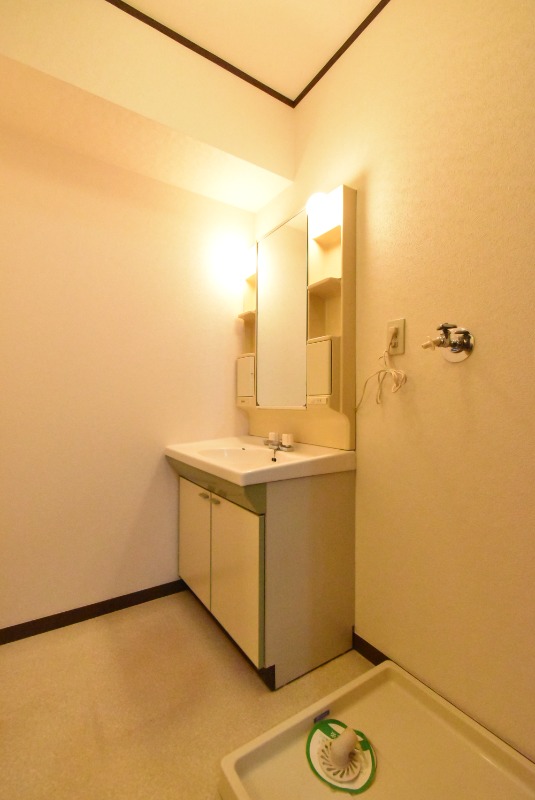 ��ʌ��������܎s���厚�~�����̃A�p�[�g�̐��ʏ�