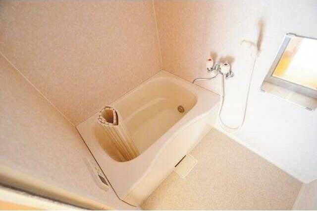 ��ʌ��k�����S�ɓޒ��h�T���ڂ̃^�E���n�E�X�̃o�X