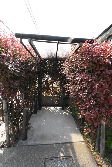 ��ʌ��������܎s�k�捡�H���̃A�p�[�g�̂��̑�