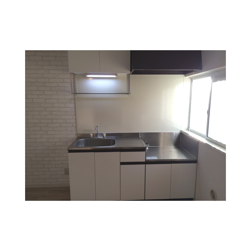 ��ʌ�����s�厚��J�{���̃A�p�[�g�̃L�b�`��