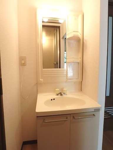 ��ʌ��������܎s������厚����̃A�p�[�g�̐��ʏ�