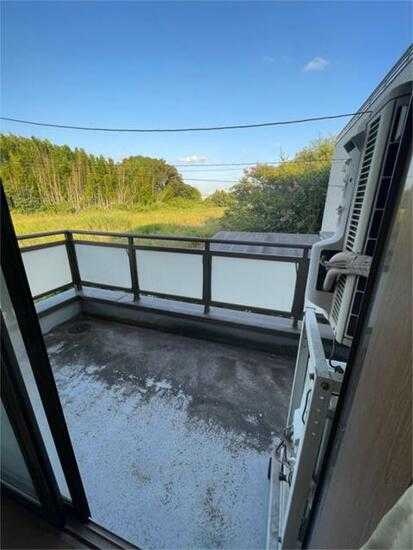 ��ʌ��������܎s��΋�厚���J�̈�ˌ��Ẵo���R�j�[