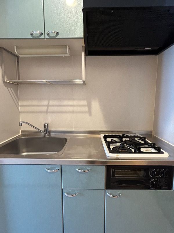 ��ʌ��������܎s������V�����S���ڂ̃A�p�[�g�̃L�b�`��