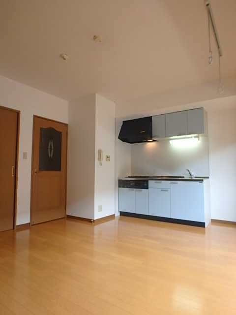 ��ʌ��������܎s��������S���ڂ̃}���V�����̂��̑�