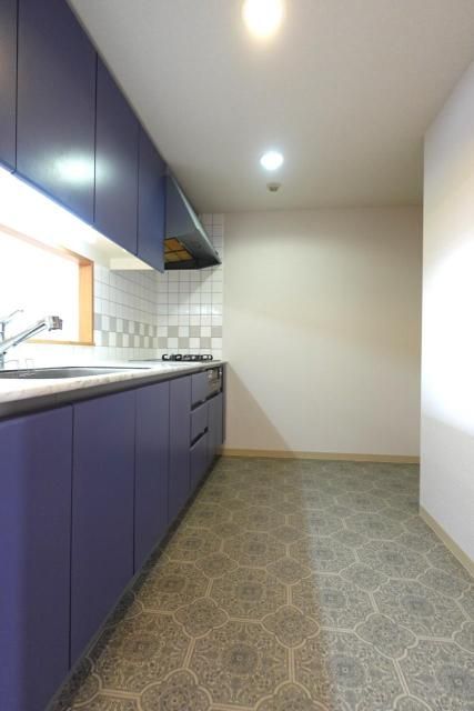 ��ʌ������s���v��̃}���V�����̃L�b�`��