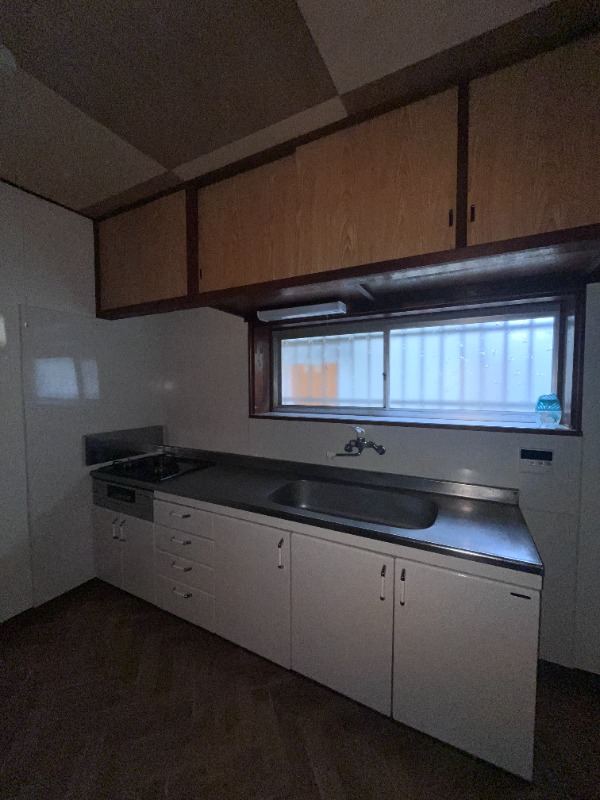 ��ʌ������s�F���q�̈�ˌ��ẴL�b�`��