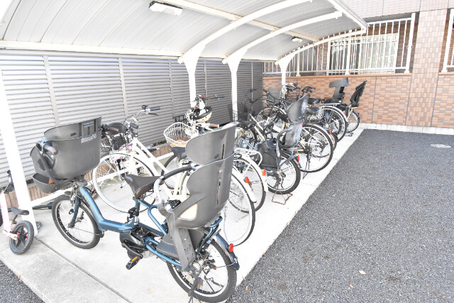 ��ʌ��z�J�s���C�N�^�E���P���ڂ̃}���V�����̂��̑�