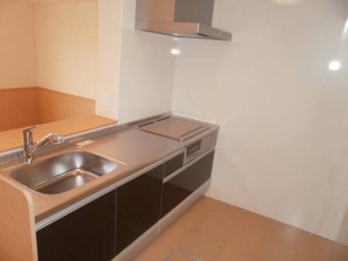 ��ʌ��������܎s�k��y�C���Q���ڂ̃A�p�[�g�̃L�b�`��