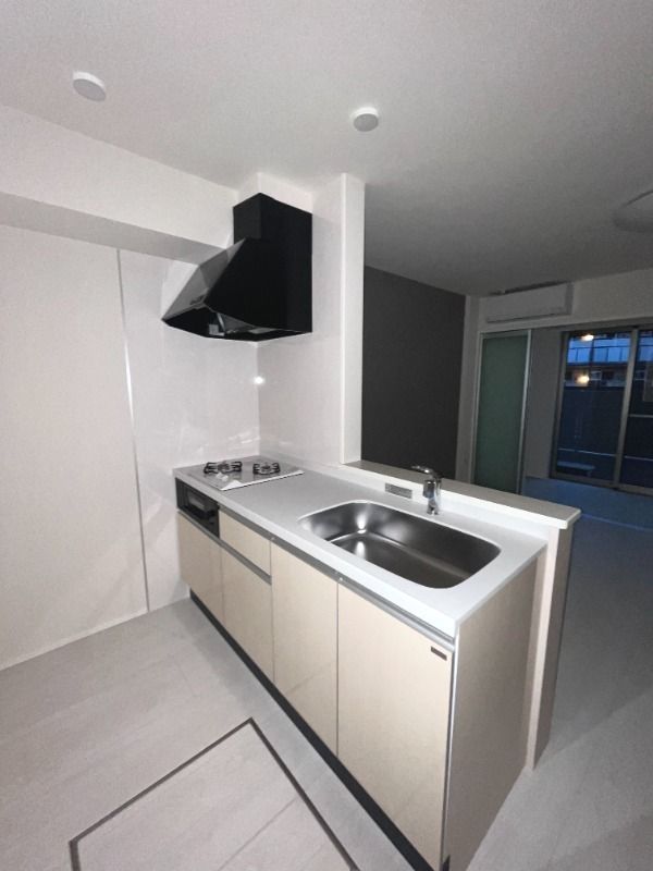 ��ʌ��������܎s������厚�ۃ���̃A�p�[�g�̃L�b�`��