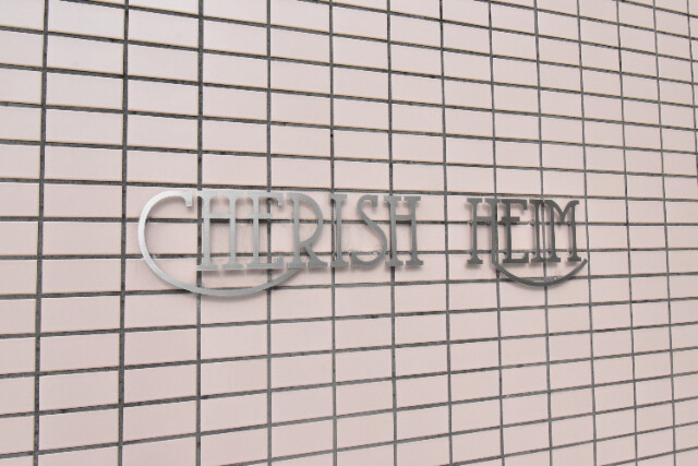 ��ʌ�����s�����P���ڂ̃}���V�����̂��̑�