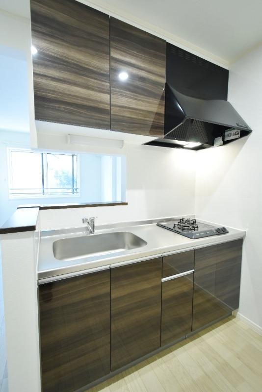 ��ʌ��������܎s�Y�a���ՂT���ڂ̃A�p�[�g�̃L�b�`��