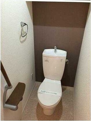 ��ʌ��z�J�s�ԎR�{���̃}���V�����̃g�C��