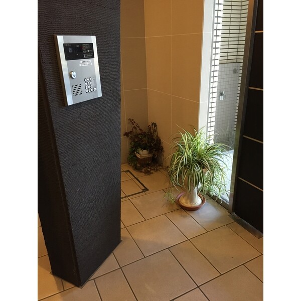 ��ʌ��z�J�s�ԎR�{���̃}���V�����̂��̑�