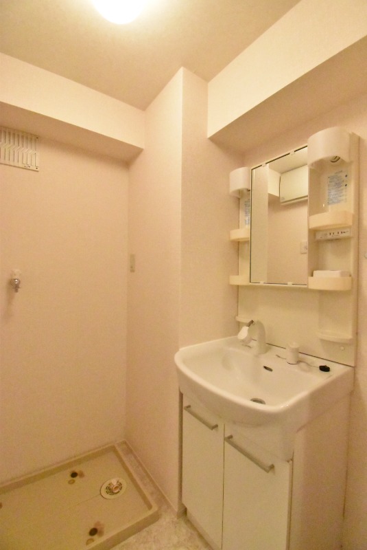 ��ʌ��z�J�s�J�����P���ڂ̃A�p�[�g�̐��ʏ�