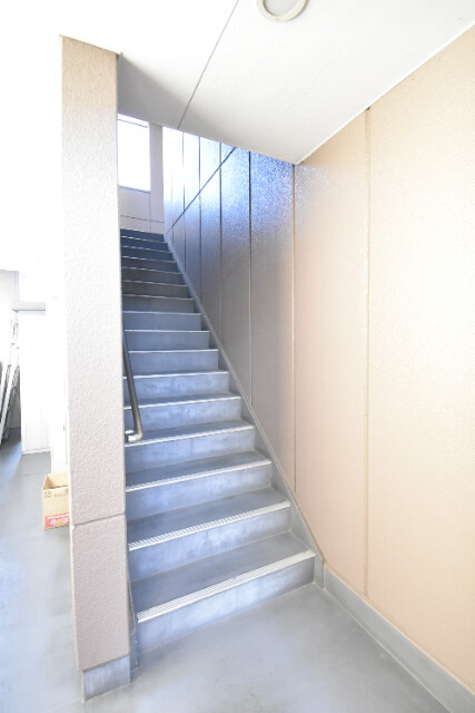 ��ʌ��������܎s�������J�X���ڂ̃}���V�����̂��̑�