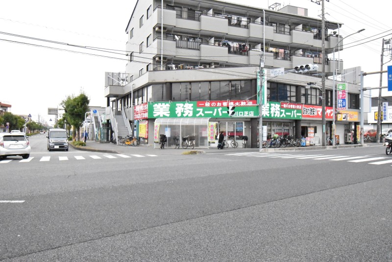 ��ʌ�����s�厚�Ɋ��̃}���V�����̎���