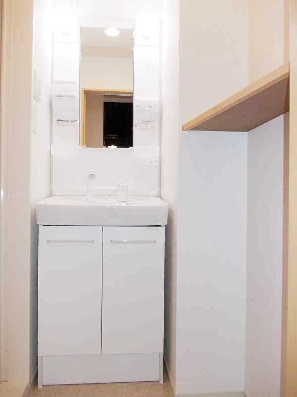 ��ʌ��z�J�s���C�N�^�E���U���ڂ̃}���V�����̐��ʏ�