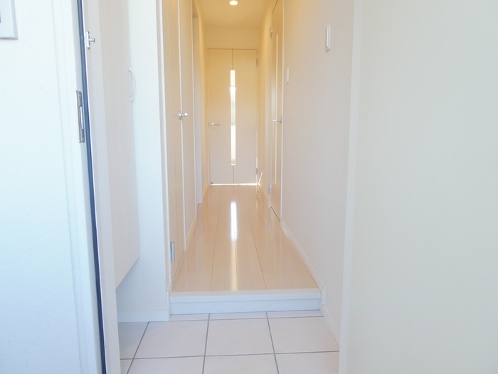 ��ʌ�����s�厚�_�˂̃}���V�����̌���