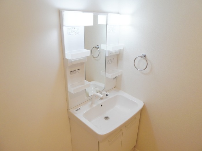 ��ʌ�����s�厚�_�˂̃}���V�����̐��ʏ�