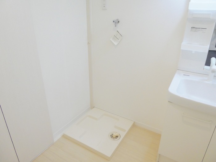 ��ʌ�����s�厚�_�˂̃}���V�����̂��̑�