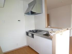 ��ʌ�����s�厚���̃A�p�[�g�̃L�b�`��