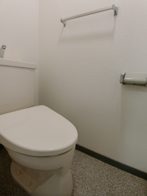 ��ʌ��z�J�s�ԎR���T���ڂ̃}���V�����̃g�C��